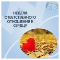 «Неделя ответственного отношения к сердцу: как беречь сердце ребёнка и всей семьи» «Неделя ответственного отношения к сердцу: как беречь сердце ребёнка и всей семьи»